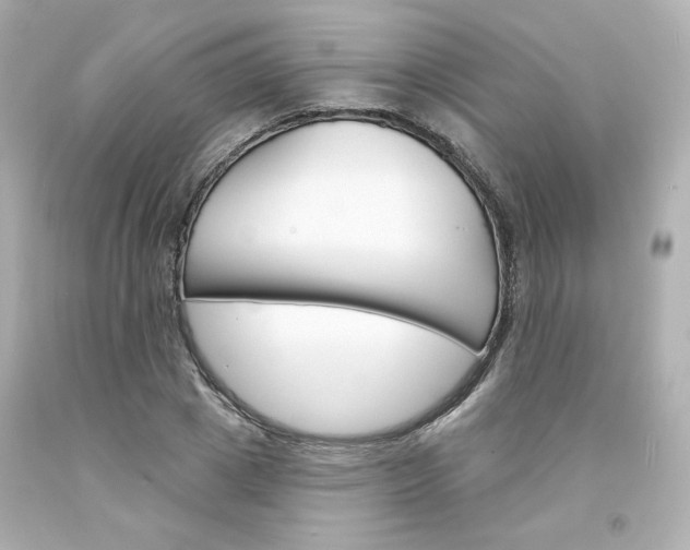 X0000094350833200711021311
