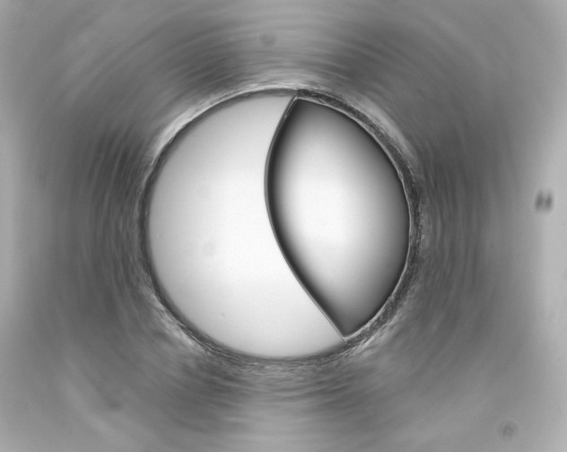 X0000094350834200711021311