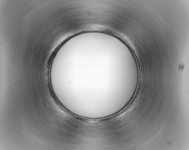 X0000094350835200711021311
