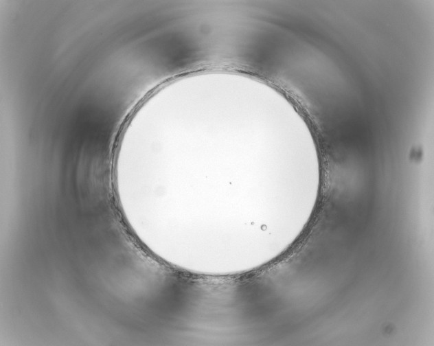 X0000094350836200711021311