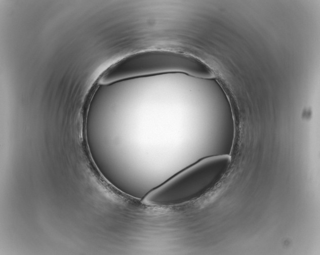 X0000094350838200711021311