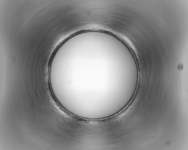 X0000094350839200711021311