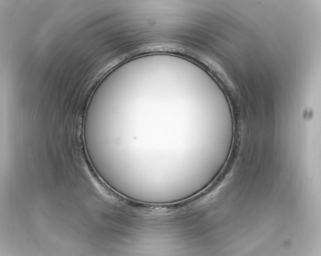 X0000094350841200711021311