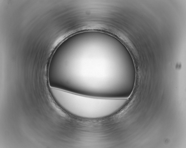 X0000094350842200711021311