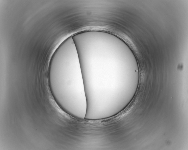 X0000094350844200711021311
