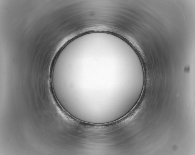 X0000094350845200711021311