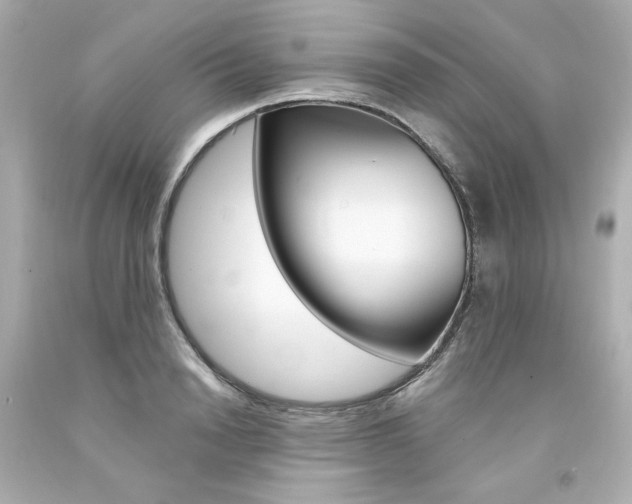 X0000094350846200711021311