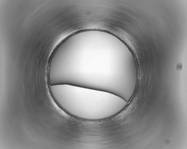 X0000094350847200711021311