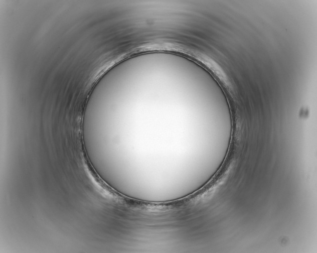 X0000094350849200711021311