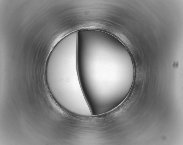 X0000094350850200711021311