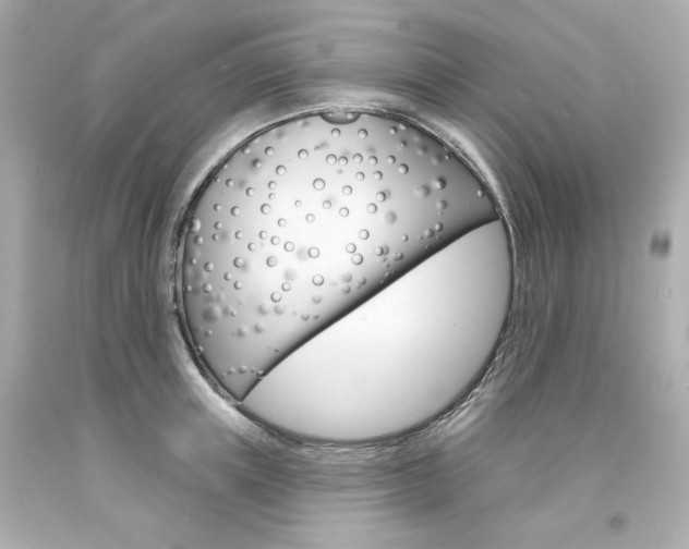 X0000094350851200711021311