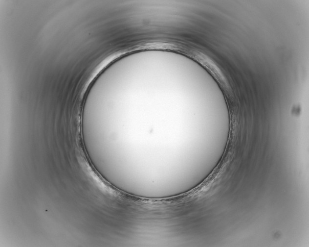 X0000094350852200711021311