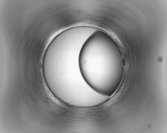 X0000094350854200711021311