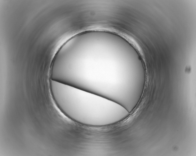 X0000094350855200711021311