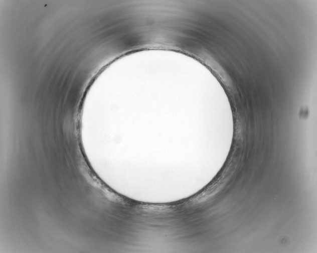 X0000094350856200711021311
