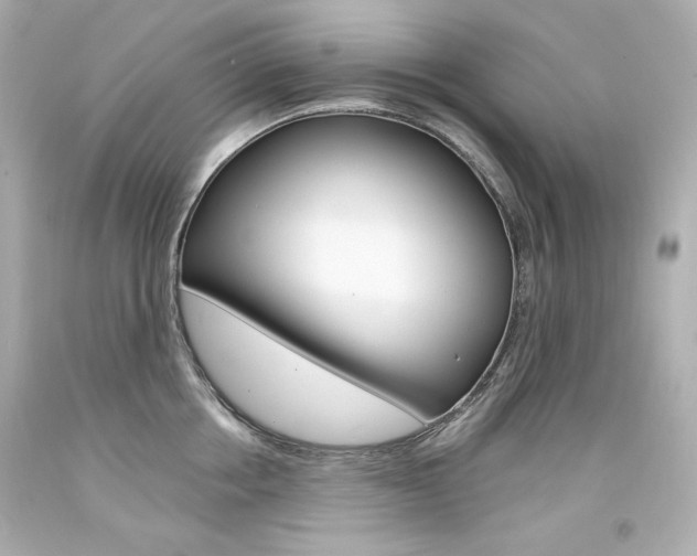 X0000094350858200711021311