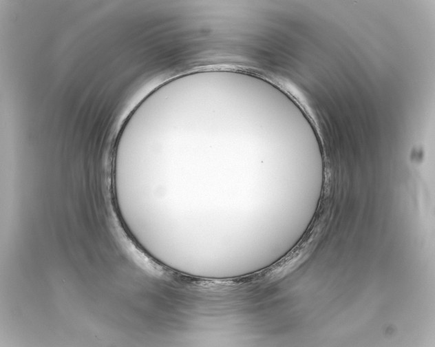 X0000094350859200711021311