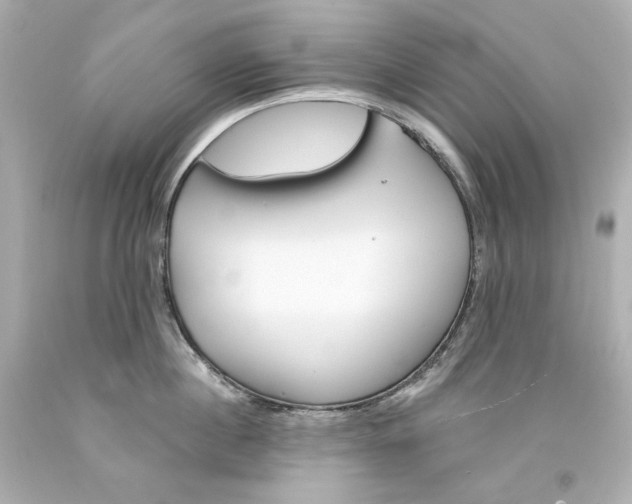 X0000094350860200711021311