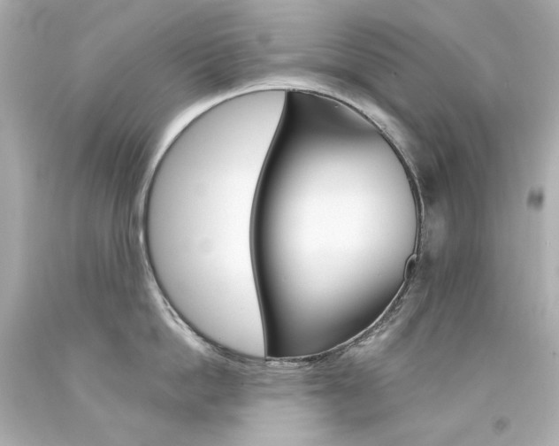 X0000094350862200711021311