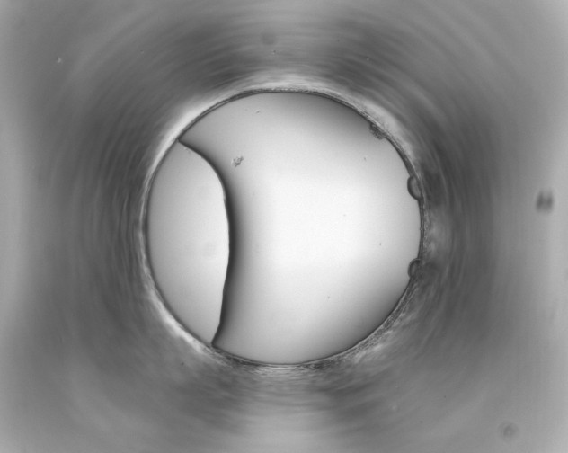 X0000094350863200711021311