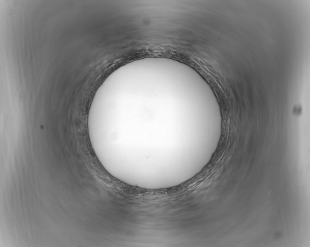 X0000094350865200711021311