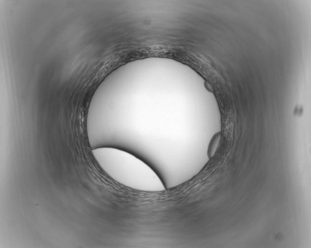 X0000094350866200711021311