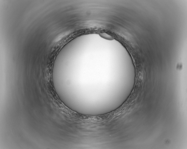 X0000094350869200711021311