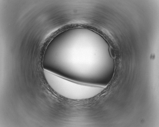 X0000094350872200711021311