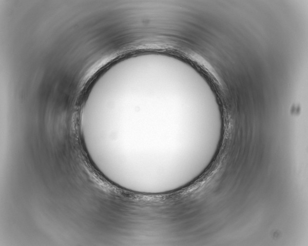 X0000094350874200711021311