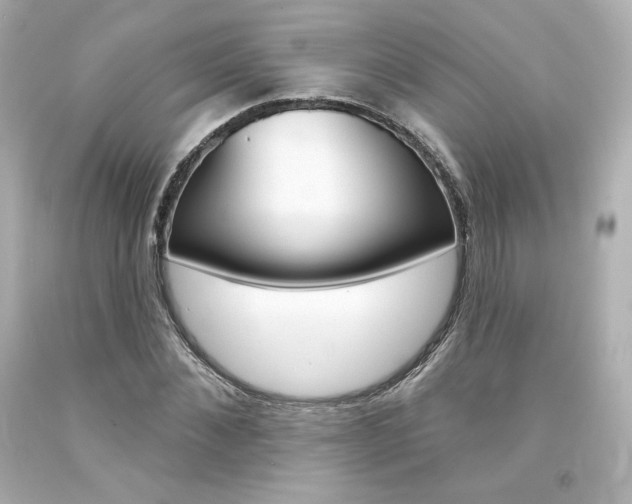 X0000094350876200711021310