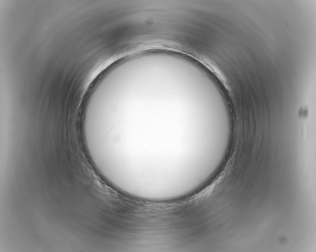 X0000094350877200711021310
