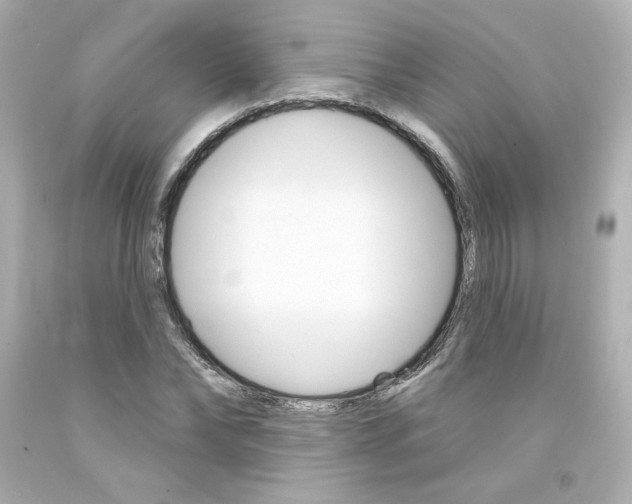 X0000094350878200711021310