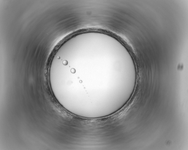 X0000094350879200711021310
