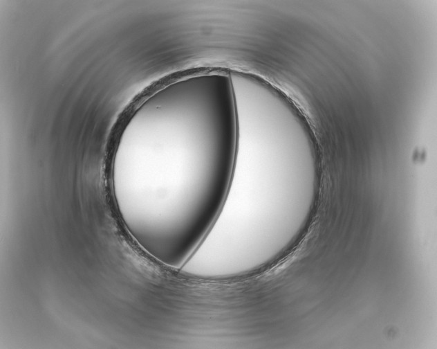 X0000094350880200711021310