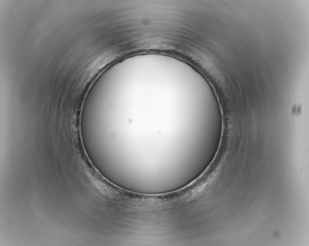 X0000094350881200711021310
