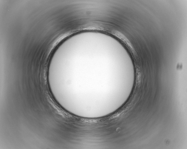 X0000094350882200711021310