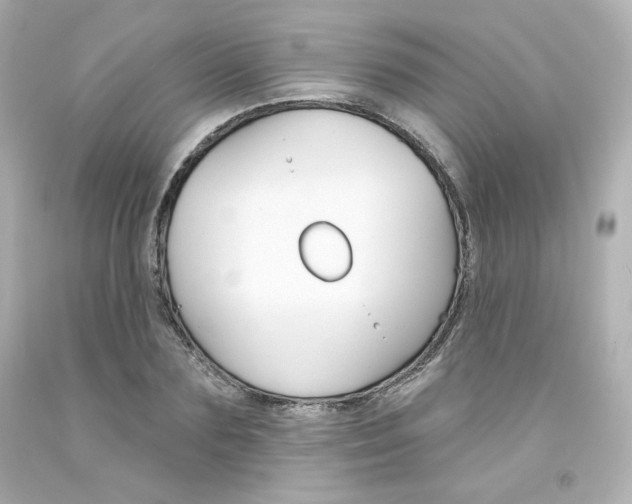 X0000094350883200711021310