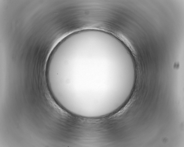 X0000094350884200711021310