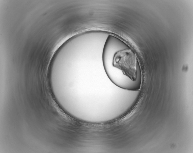 X0000094350885200711021310