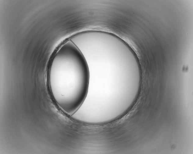 X0000094350888200711021310