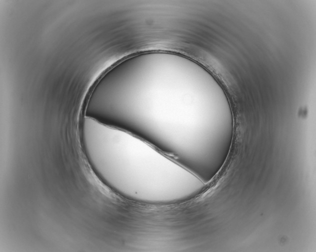 X0000094350892200711021310
