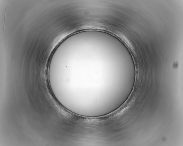 X0000094350893200711021310