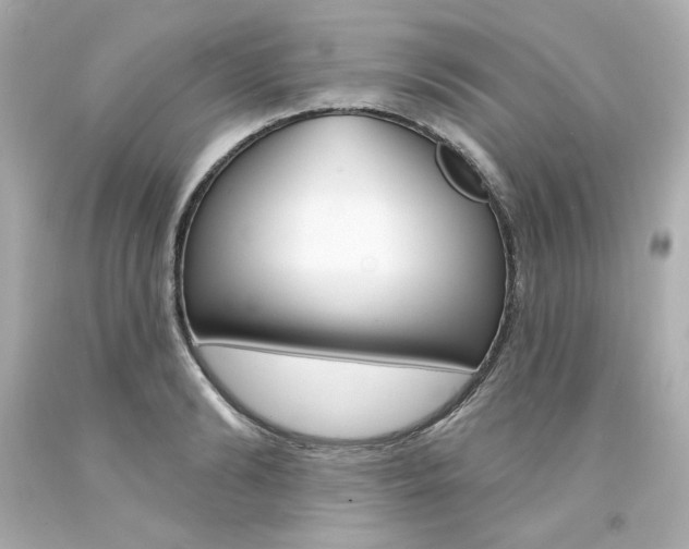 X0000094350894200711021310