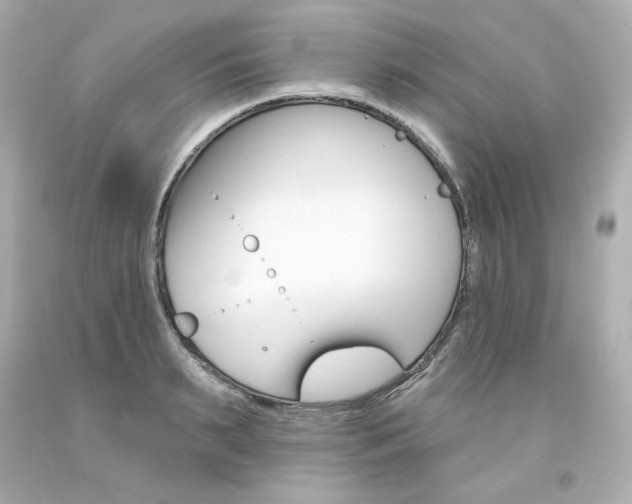 X0000094350895200711021310