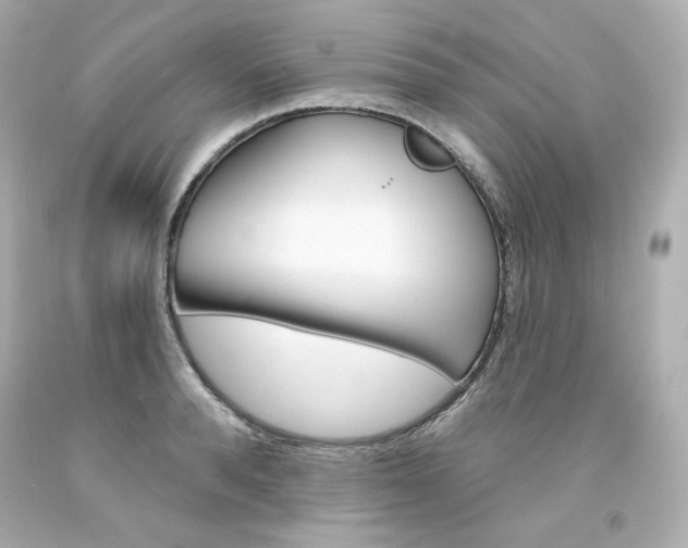 X0000094350896200711021310