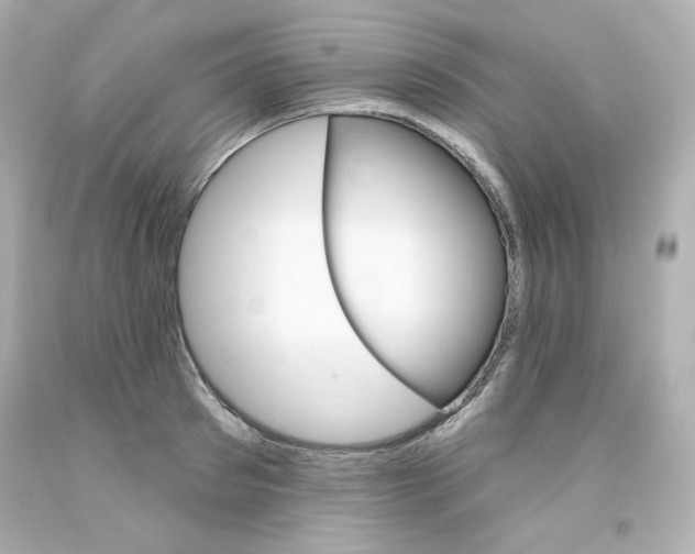 X0000094350897200711021310