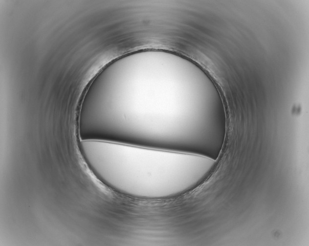 X0000094350898200711021310