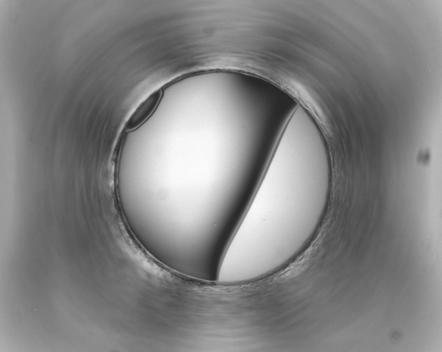 X0000094350900200711021310