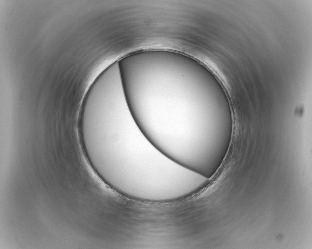 X0000094350901200711021310