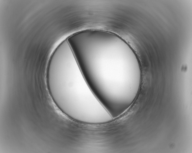 X0000094350904200711021310